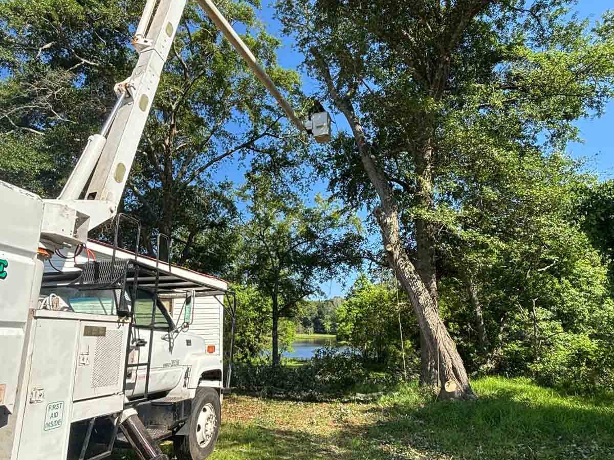 El Costeño Tree Service LLC